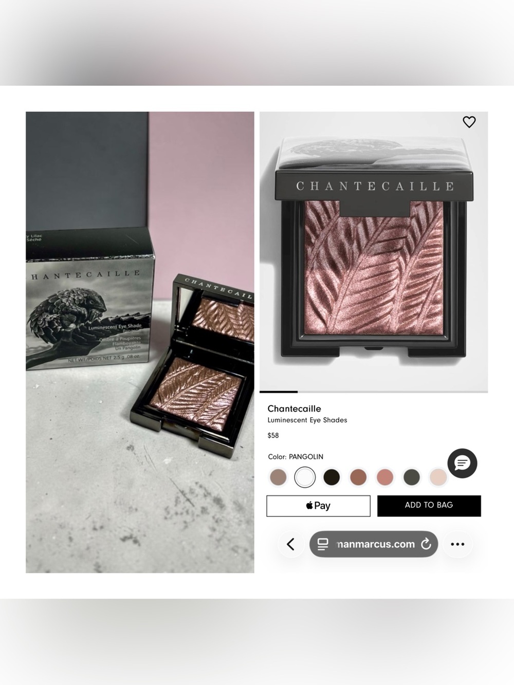 Chantecaille Luminescent Eye Shade in shade Pangolin
